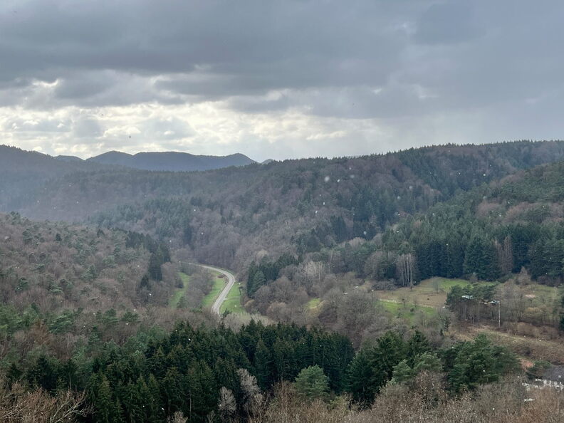 23-02-26 14-54-43 4372